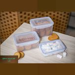 ظرف فریزری مستطیل 2000 میلی‌لیتر تکسا مدل Smart Fresh Max