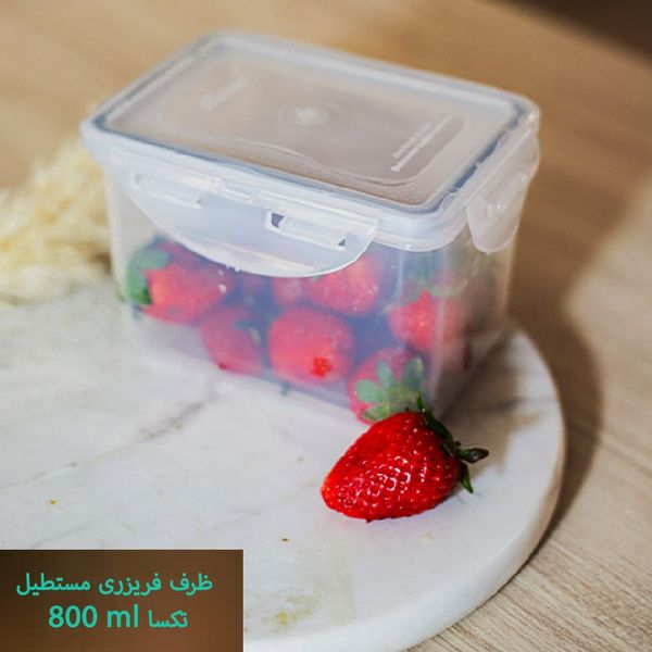 ظرف فریزری مستطیل 800 میلی‌لیتر تکسا مدل Smart Fresh Mini