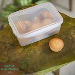 ظرف فریزری مستطیل 1500 میلی‌لیتر تکسا مدل Smart Fresh Plus