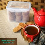 ظرف فریزری مستطیل 2000 میلی‌لیتر تکسا مدل Smart Fresh Max