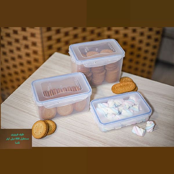 ظرف فریزری مستطیل 600 میلیلیتر تکسا مدل Smart Fresh Compact