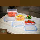 ظرف فریزری مستطیل 600 میلیلیتر تکسا مدل Smart Fresh Compact