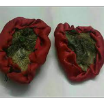 فرج کفتار اصل قفقازی