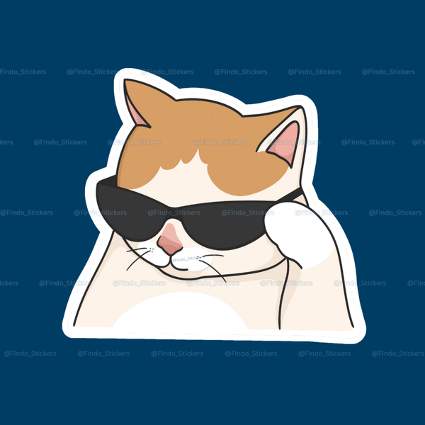استیکر گربه‌گنگ11#😎🐾