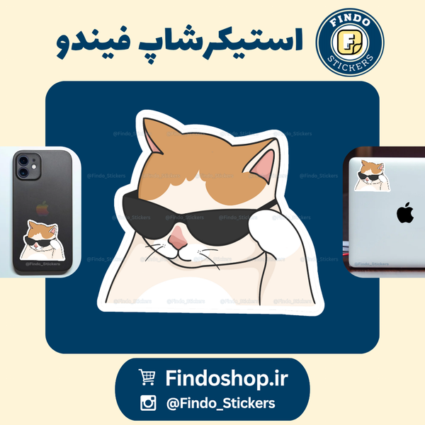 استیکر گربه‌گنگ11#😎🐾