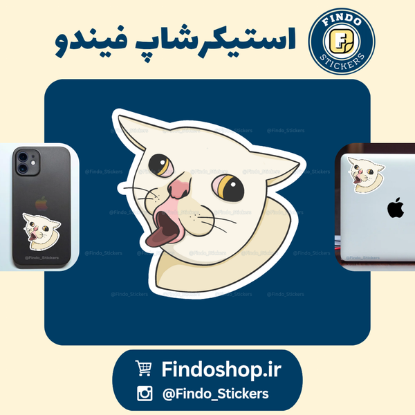 استیکر گربه ناراضی 13#😾🐾