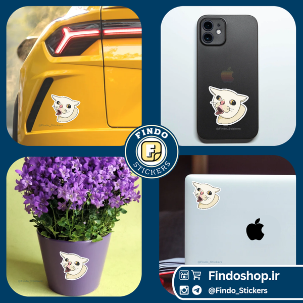 استیکر گربه ناراضی 13#😾🐾