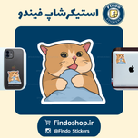 استکیر گربه ملوس17#😻🐾