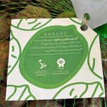 گردو با پوست ارگانیک بنگرو 1 کیلو