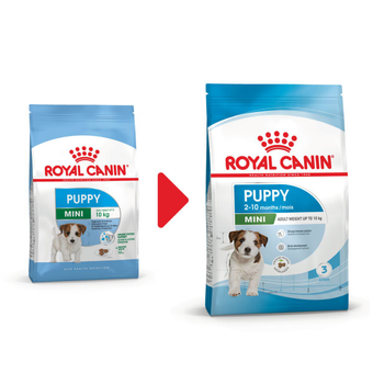 غذا خشک/سگ رویال/مینی پاپی 2kg