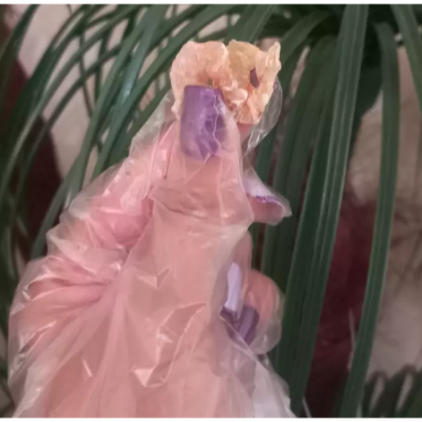 تشویقی میگو فارپت مخصوص سگ و گربه