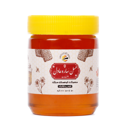 نیم کیلو شهد عسل ممتاز اردبیل