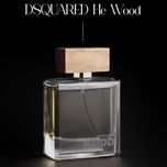 عطر ادکلن دیسکوارد هی وود قهوه ای 100 میل جانوین (جکوین) DSQUARED He Wood Johnwin