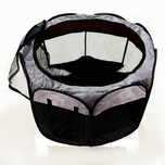 پارک بازی و مسافرتی حیوانات خانگی