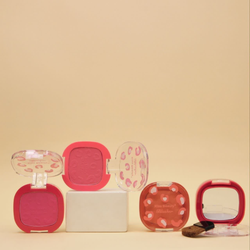 پالت رژ گونه تک رنگ براش دار Blusher