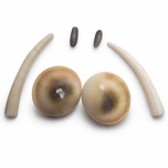 مهره مار از دو نژاد برتر