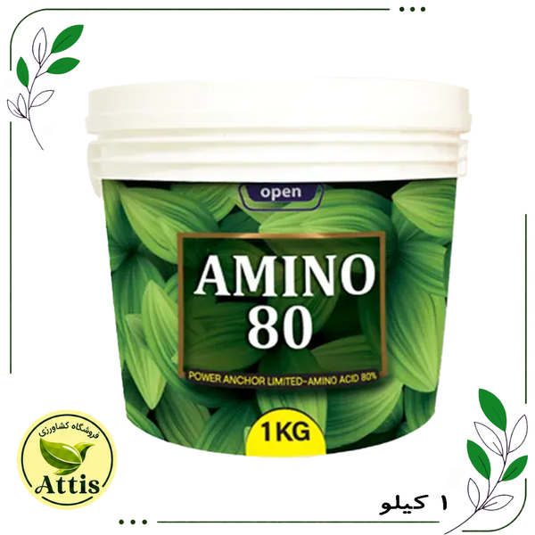 آمینو 80 (آمینواسید پودری) 1 کیلویی پرگاس