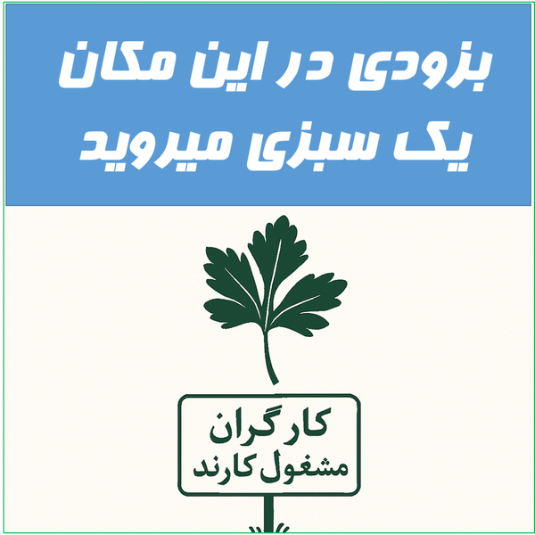 سبزی مرغ‌ترش ویژه گردویی خرد شده – 500 گرم