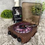 گرامافون دریا