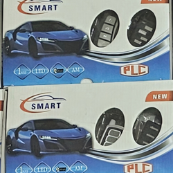 دزدگیر ساده پی ال سی