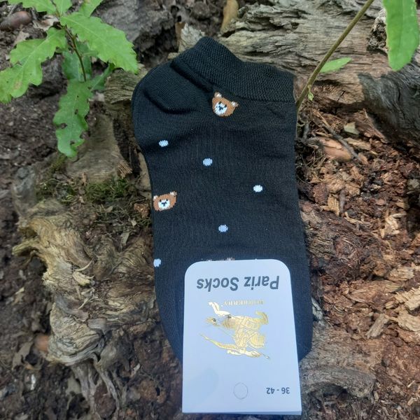 جوراب مچی طرح تدی