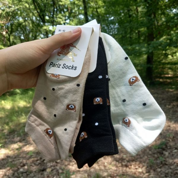 جوراب مچی طرح تدی