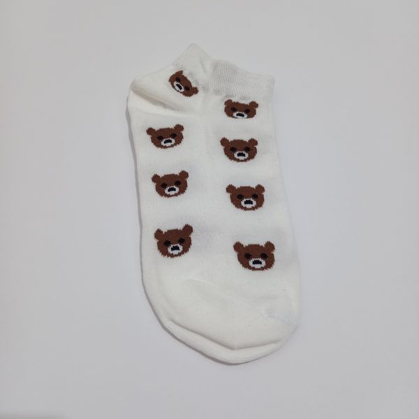 جوراب مچی تدی