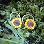 کش موی آفتابگردان