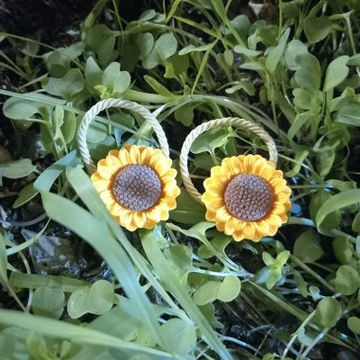 کش موی آفتابگردان