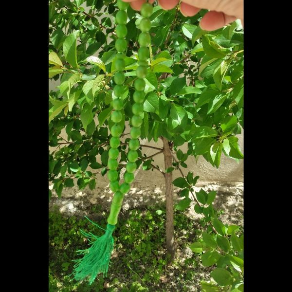 تسبیح tasbih سندلوس فوق کلکسیونی.