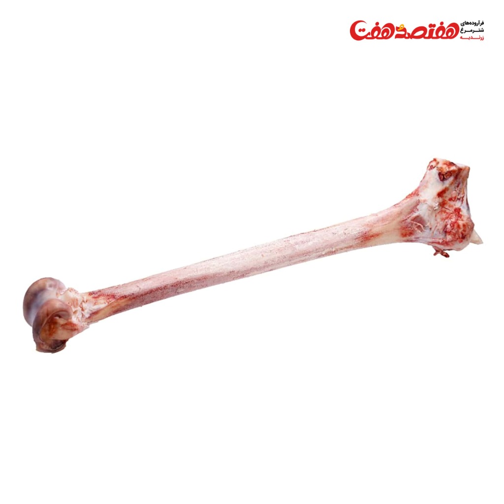 قلم شترمرغ