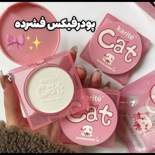 پودر فیکس فشرده گربه ای