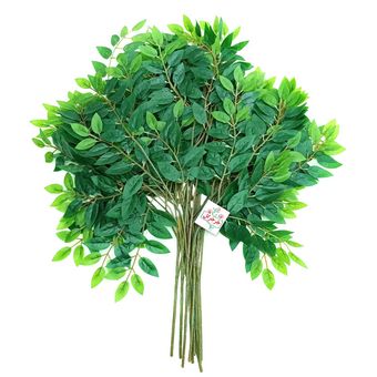 بوته برگ درختی بسته 12 عددی