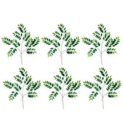 بوته برگ درختی بسته 6 عددی