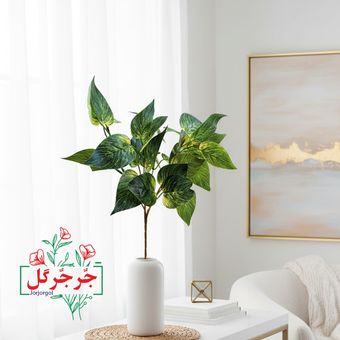 بوته پتوس لمسی کد 5540