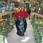 گلدان رخ اوریگامی فایبرگلاس بزرگ