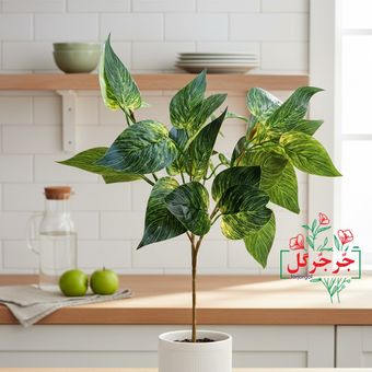 بوته پتوس لمسی کد 5540 بسته 5 عددی