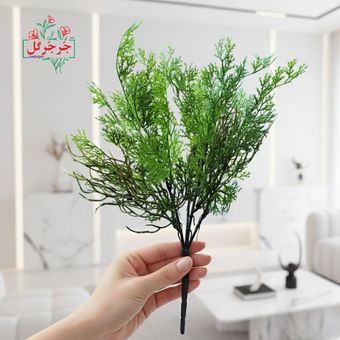 بوته برگ شوید 5 بازو