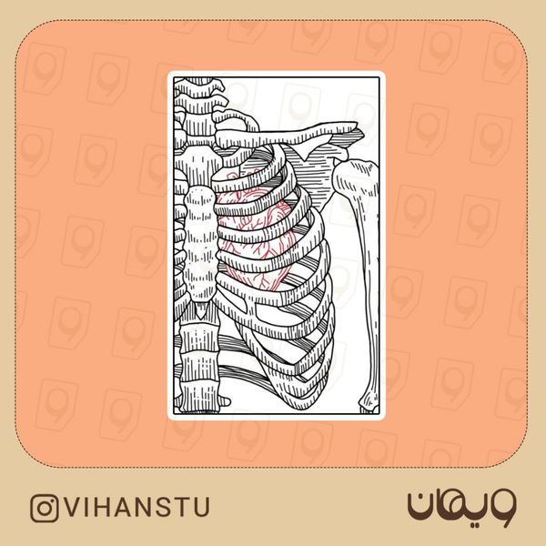 استیکر کد 0143
