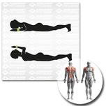 وزنه مچ دست و پا