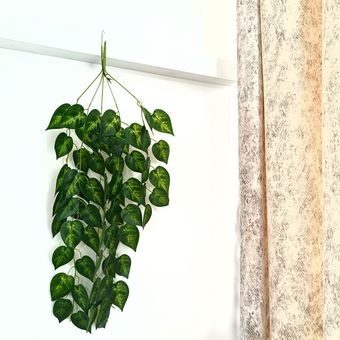 آویز خطی پتوس ابلق