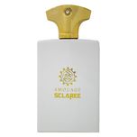 ادو پرفیوم مردانه اسکلاره مدل Amouage Honour حجم 100 میلی لیتر