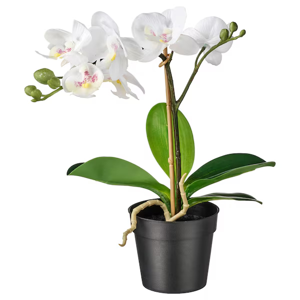 گل و گلدان مصنوعی ایکیا سری FEJKA Orchid