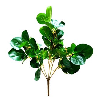 بوته قاشقی گوشتی