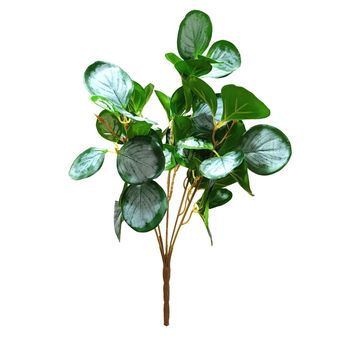 بوته قاشقی گوشتی مدل برفکی