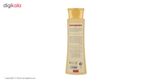 شامپو مو پروتئینه جوانه گندم سینره مدل Wheat Germ حجم 250 میلی‌لیتر
