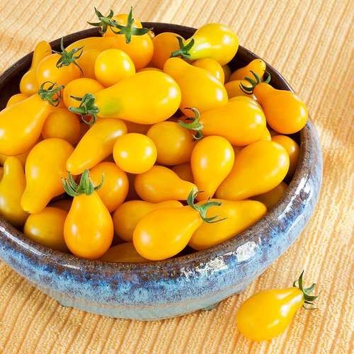 بذر گوجه گلابی بسته 15 عددی