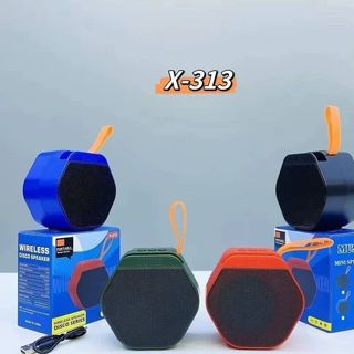 اسپیکر X313