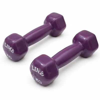 دمبل مدل GS-M-333335 وزن 1 کیلوگرم بسته دو عددی