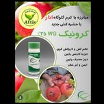 حشره کش کرونیک (آلتاکور / کلرانترانیلیپرول ) 50 گرمی سرای سپند